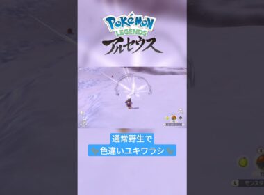【色違い】Pokémon LEGENDS アルセウス『ユキワラシ』通常野生にて色違い✨ #shorts