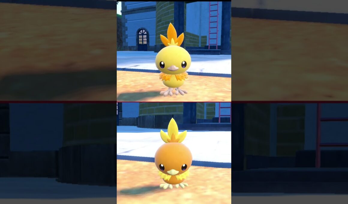 #アチャモ  #ポケモン  #torchic  #pokemonscarletandviolet