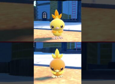 #アチャモ  #ポケモン  #torchic  #pokemonscarletandviolet