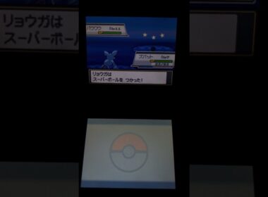 ポケットモンスター　ハートゴールド　欲しいパウワウ　可愛いパウワウ　え？可愛いよね？　#ポケモン