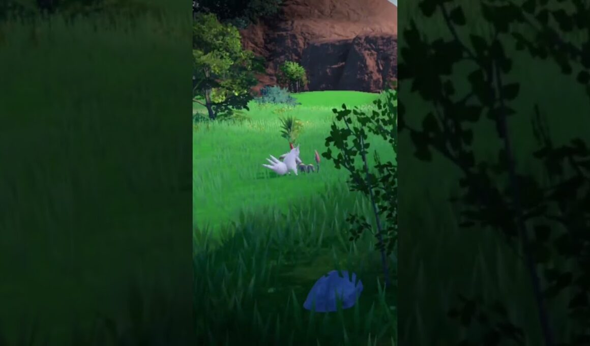 対決 野生の ザングース VS ハブネーク #shorts #ポケモンsv #碧の仮面 #碧の円盤