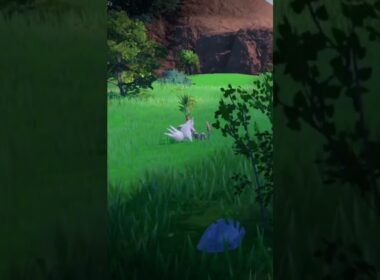 対決 野生の ザングース VS ハブネーク #shorts #ポケモンsv #碧の仮面 #碧の円盤