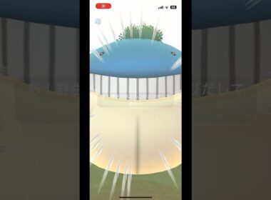 ポケモンgo 最大サイズホエルコゲットチャレンジ　#pokemongo #xxl