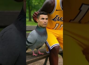 Ronaldo and Lebron James #ronaldo #lebronjames #pigeon #shorts