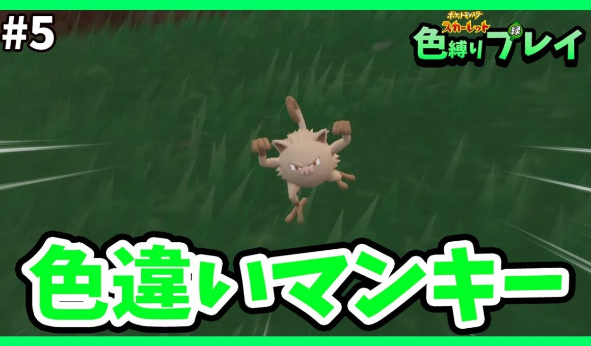 【ポケモンsv】緑のサルはサルノリだけでいい #5