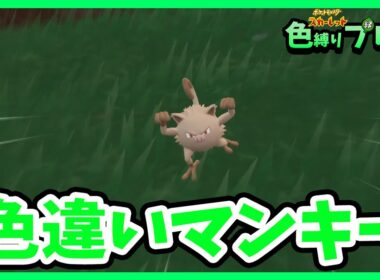 【ポケモンsv】緑のサルはサルノリだけでいい #5