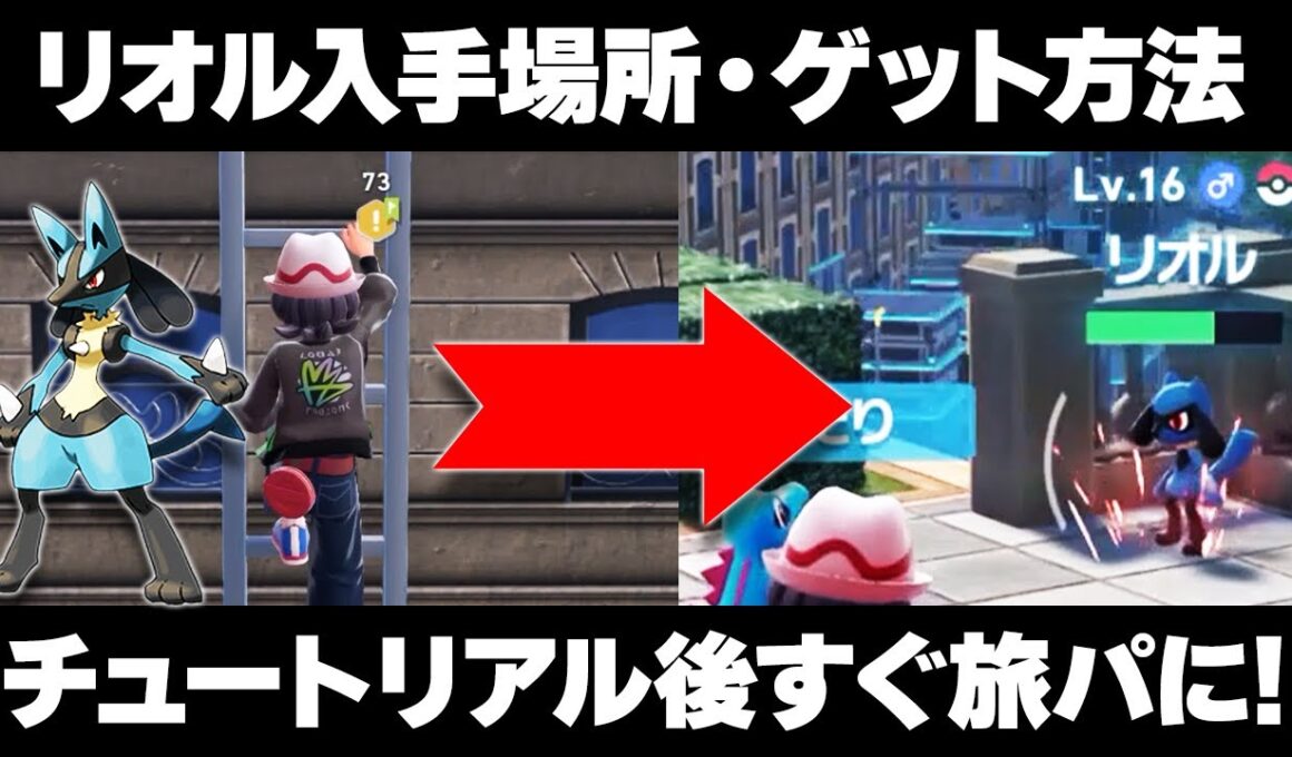 【ポケモンZA】リオルの出現場所/入手方法！序盤から旅パに！ルカリオ/メガルカリオと旅するぞ！【レジェンズZA】