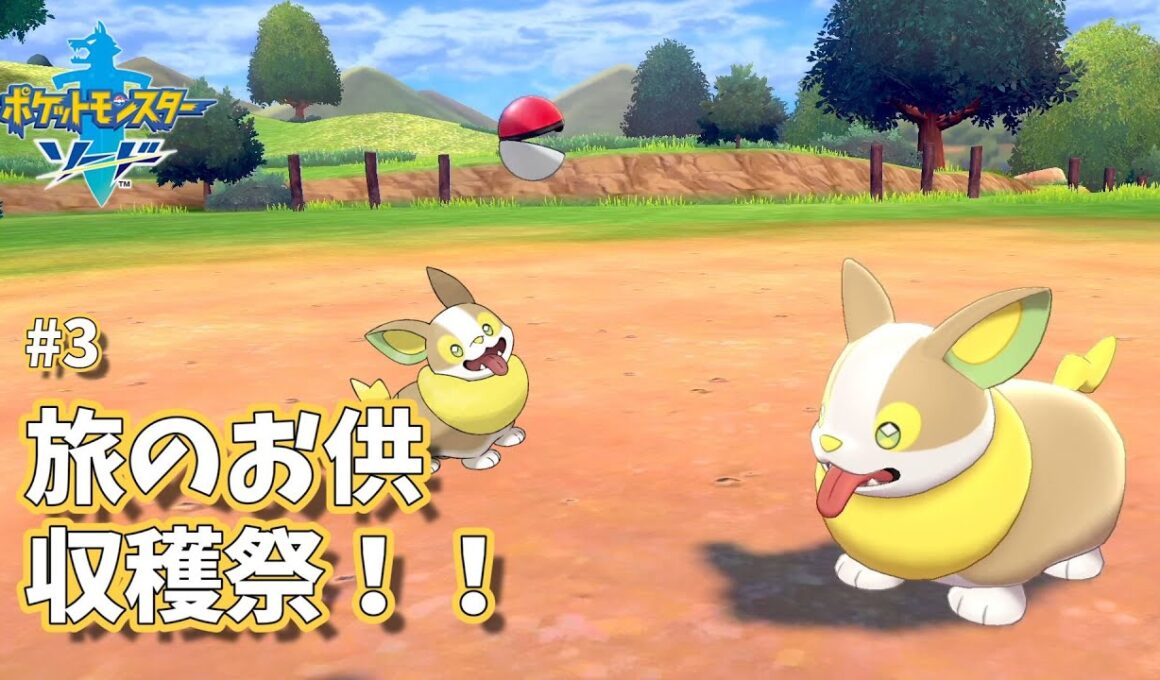 【剣盾】#3 旅のお供となるワンパチをゲットしていきます！