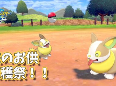 【剣盾】#3 旅のお供となるワンパチをゲットしていきます！