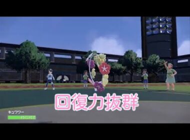 【ポケモンSV】回復もりもりキュワワー