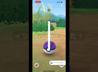 GOパスでイワンコ色違い‼️ #ポケモンGO #ポケモン