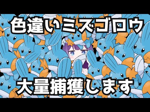 【ポケモンSV】色違いミズゴロウを大量に捕獲したい配信#最終回【新人VTuber】