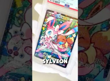 【ポケカ】ニンフィアEXの秘密、知ってる？可愛すぎるコンセプトパック「ポケキュンコレクション」の価値が高いワケ！ #ポケカ #ポケモン #ポケモンカード #pokemon #ニンフィア #ポケキュン