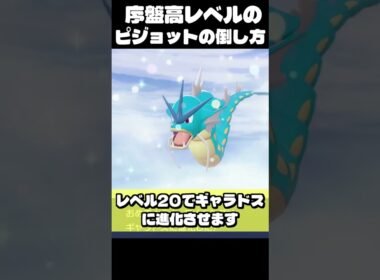 レベル差10以上！序盤で高レベルのピジョットを倒せる方法【ポケモンレジェンズZA】