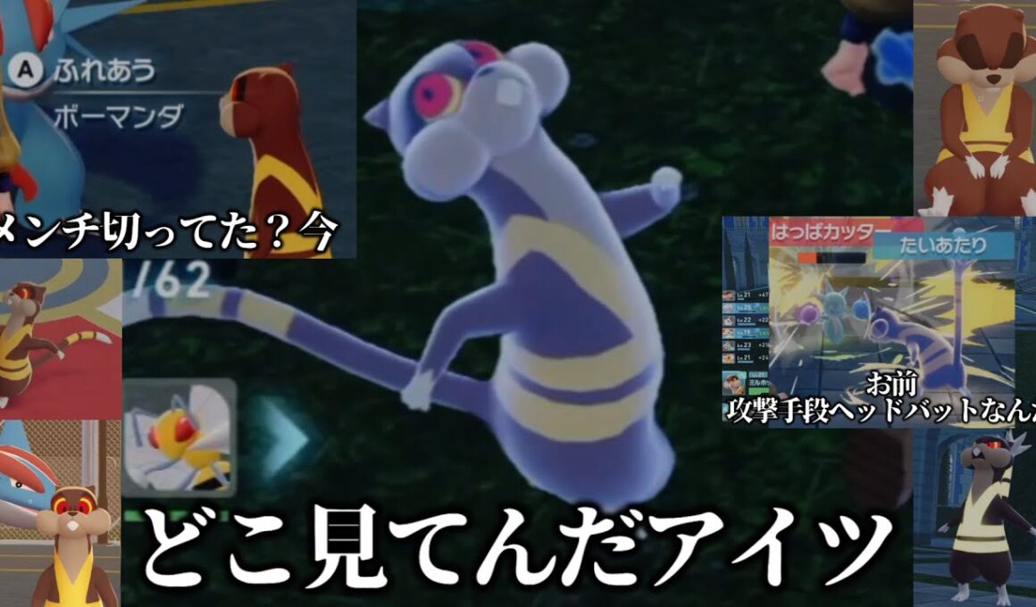 【ポケモンZA】ミルホッグとの再会【相棒】【感動】【動物／癒し】