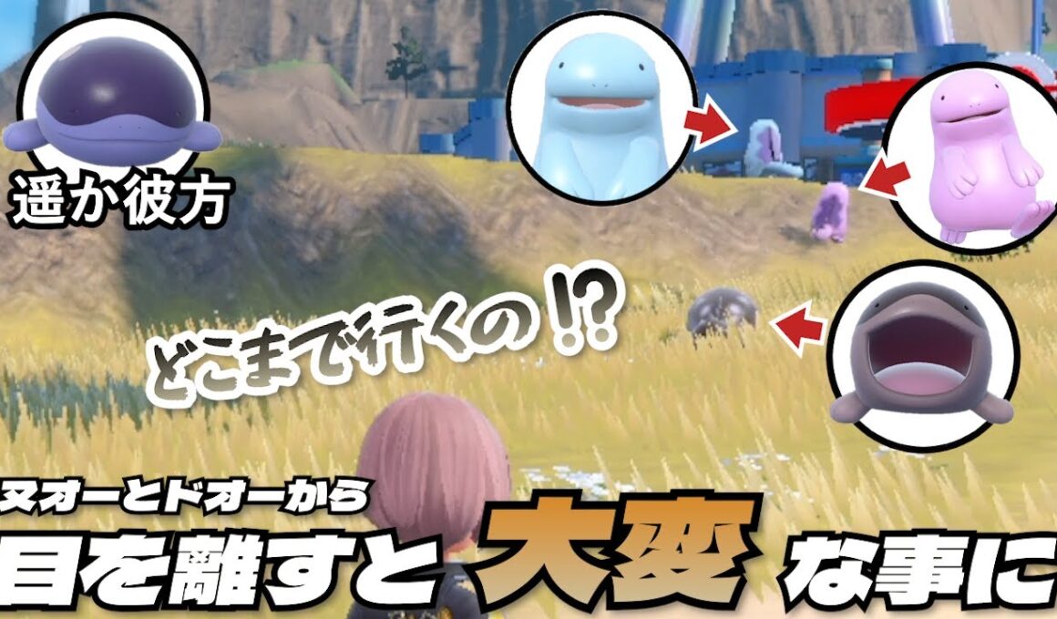 ヌオーとドオーから目を離すと大変なことに【ポケモンSV】