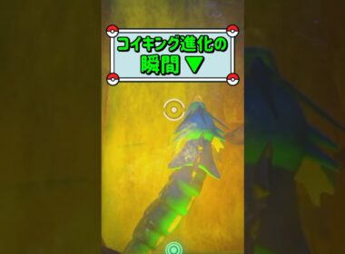 「コイキング進化の瞬間 ▼」　#ポケモン　#ポケモンスナップ　#ポケスナ　#shorts