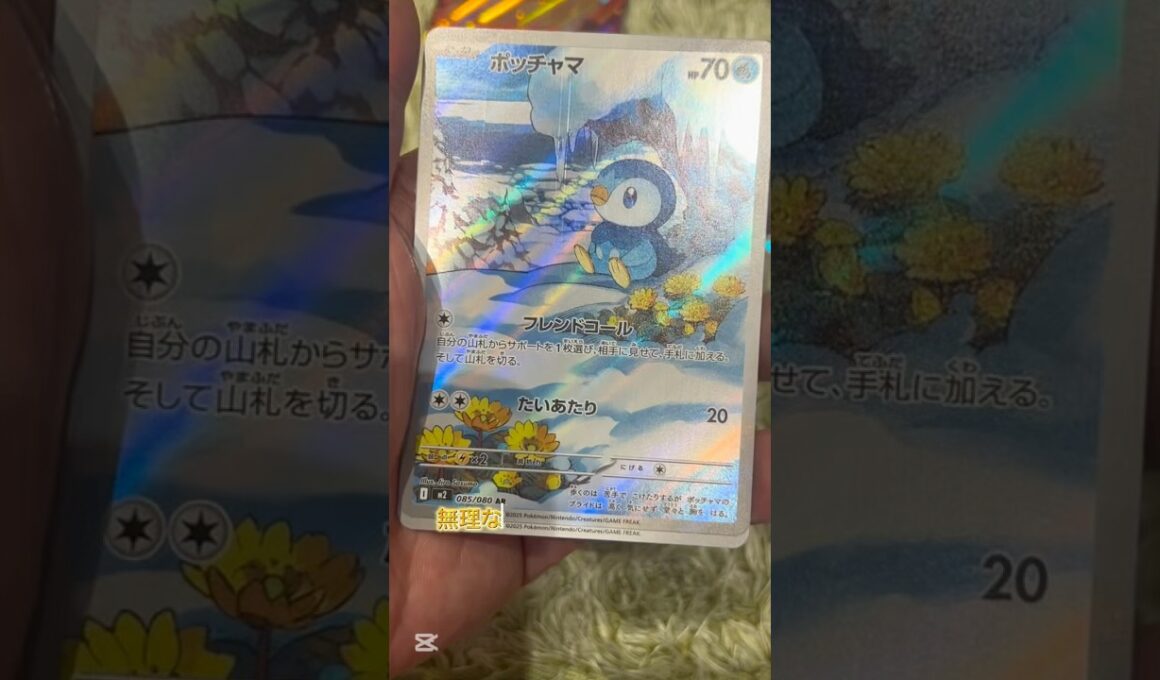 ポッチャマ　可愛いなお前わ