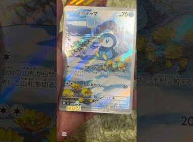 ポッチャマ　可愛いなお前わ