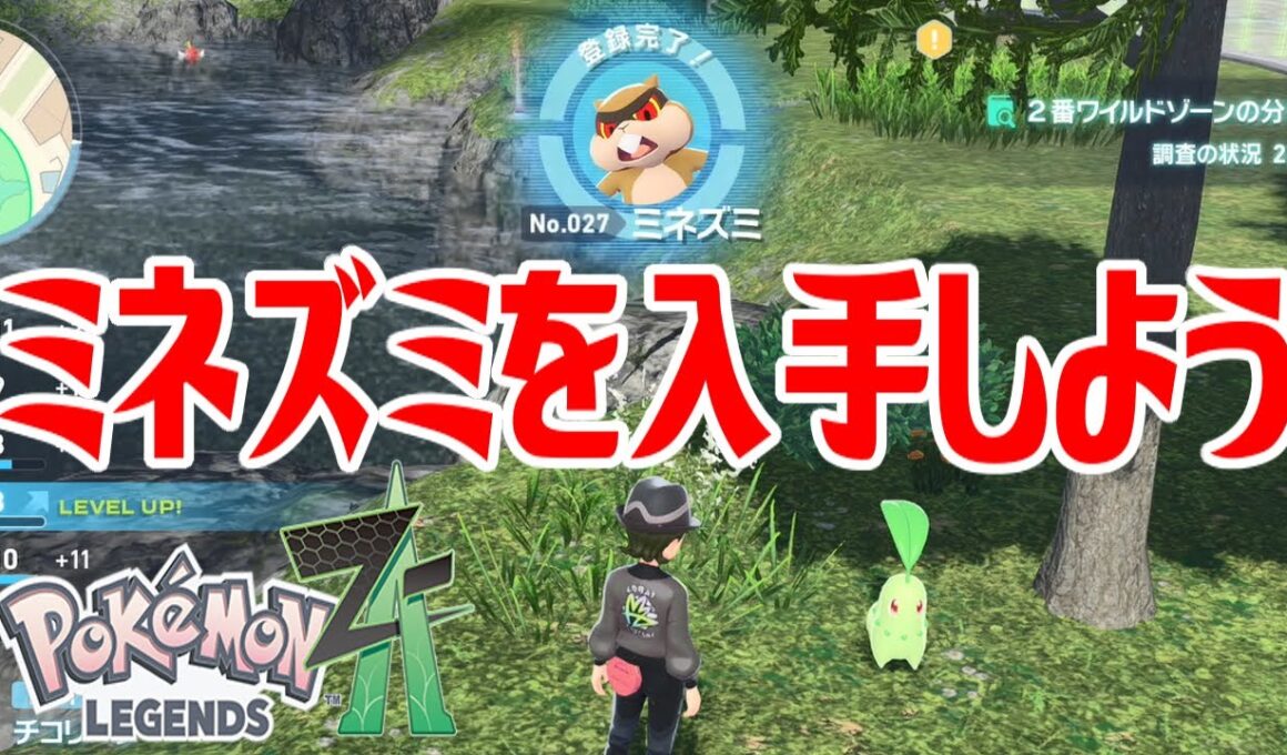 【ポケモンZ-A】ミネズミを入手しよう【Pokémon LEGENDS Z-A】