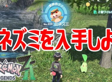 【ポケモンZ-A】ミネズミを入手しよう【Pokémon LEGENDS Z-A】