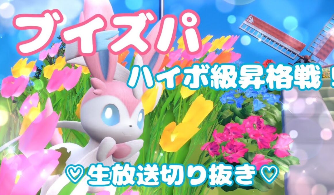 【ブイズパ】ハイボ級昇格戦！ニンフィア＆シャワーズ大活躍！【ポケモンSV】