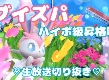 【ブイズパ】ハイボ級昇格戦！ニンフィア＆シャワーズ大活躍！【ポケモンSV】