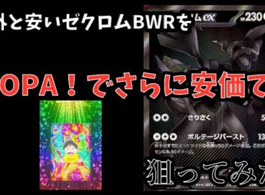 【ポケモンカード】シングル価格が意外と安いゼクロムBWR！！ネットオリパDOPA！ならもっと安く入手出来るのでは？