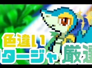 【ポケモンBW】博士から色違いツタージャをもらう！