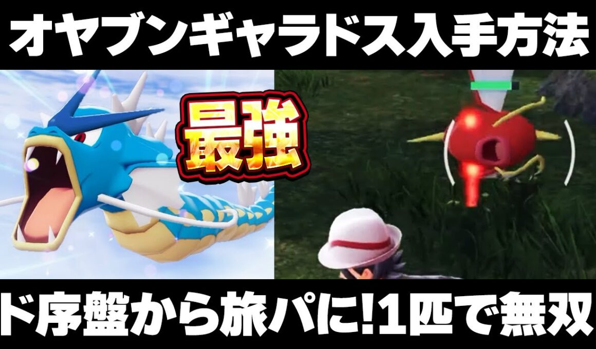 【ポケモンZA】オヤブンギャラドスの入手方法！序盤からメガギャラドス旅パで爆速攻略！【レジェンズZA】