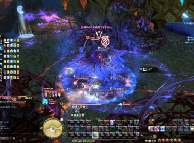 【新生FF14】 バハムート：侵攻編 1層 ラフレシア / 白視点