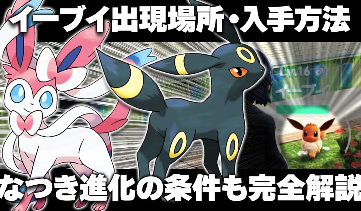 【ポケモンZA】イーブイの出現場所/入手方法！序盤から旅パに！ブイズ進化方法まとめ！なつき度あげ方！【レジェンズZA】