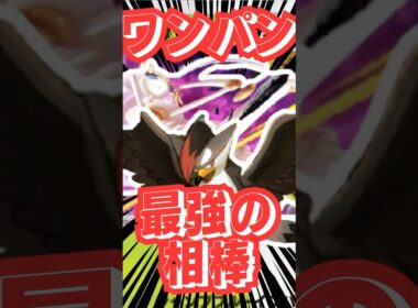 99)新弾で最強タッグ見つかる...【今日の名試合】#ポケポケ #ポケモン #ポケポケデッキ紹介 #ゑび天日記 #ptcgp  #shorts #pokemon #ムクホーク #フェローチェ