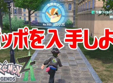 【ポケモンZ-A】ポッポを入手しよう【Pokémon LEGENDS Z-A】