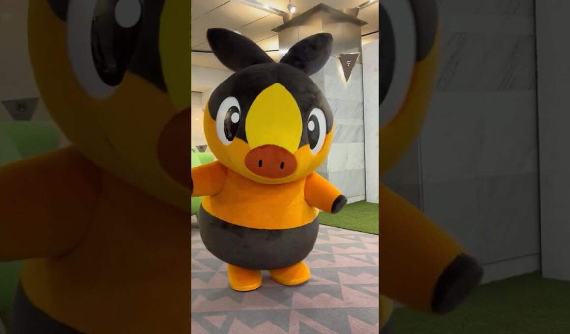 【ポケモンレジェンズ ZA】チコリータ、ポカブ、ワニノコが発売前日イベントに登場 #ポケモン #pokemon #pokemonlegendsza #チコリータ #ポカブ #ワニノコ