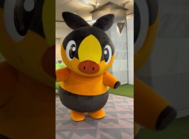 【ポケモンレジェンズ ZA】チコリータ、ポカブ、ワニノコが発売前日イベントに登場 #ポケモン #pokemon #pokemonlegendsza #チコリータ #ポカブ #ワニノコ