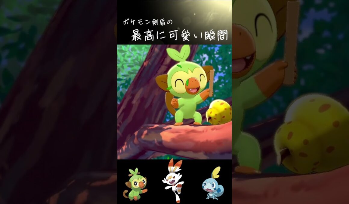 【ポケモン剣盾】最高にかわいい御三家たち #shorts