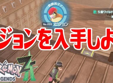 【ポケモンZ-A】ピジョンを入手しよう【Pokémon LEGENDS Z-A】