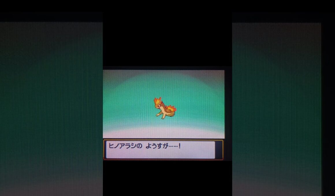 【ポケモンHGSS】色違いマグマラシに進化  #色違いポケモン  #ヒノアラシ  #ポケモンhgss #ポケモン   #pokemon  #pokémon  #色違い