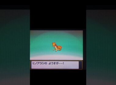 【ポケモンHGSS】色違いマグマラシに進化  #色違いポケモン  #ヒノアラシ  #ポケモンhgss #ポケモン   #pokemon  #pokémon  #色違い