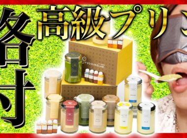 【プリン研究所】最高級プリン食べ比べ！ハンパじゃない味に驚愕！！【MSSP/M.S.S Project】