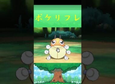 レディバ*ポケモン ポケリフレ ポケパルレ #ポケモン #Pokemon  #3DS #nintendoswitch #ポケモンsv #ポケモン #キャンプ #サンドイッチ #ピクニック