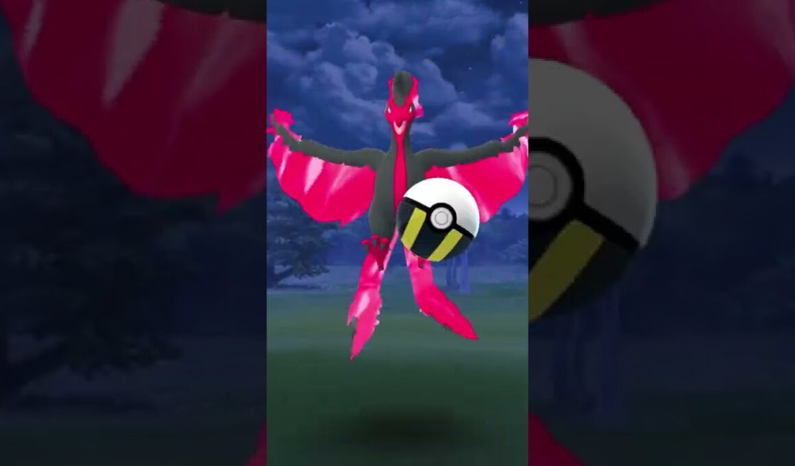 初めてガラルファイヤーに遭遇した【ポケモンGO】