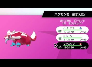 色違いマッスグマ