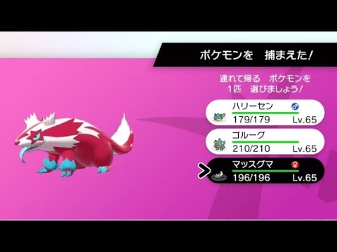 色違いマッスグマ