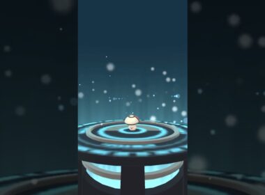 今日は「 きのこの日 」らしいので【 ポケモンgo 】 タマゲタケ → モロバレル ！名前www #ポケモン #ポケモンgo #pokemon #pokemongo #きのこの日