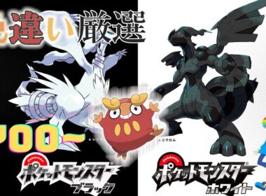 【ポケモンBW】4番道路(Shiny Pokémon)厳選(4700~)