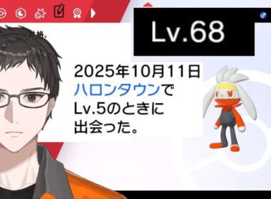 【ポケモン剣盾】バッジ6個目～　アメで育てたラビフットでガラル地方を振り返る