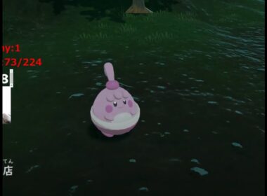 【ポケモンレジェンズ】色違いピンプク　ゲットした EPIC SHINY Happiny Pokémon Legends: Arceus　【ポケモンレジェンズ アルセウス】