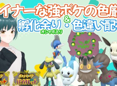 【孵化余り・色違い配布】無限に色ゾロアを捕まえてテンションを上げる配信【ポケモンSV】